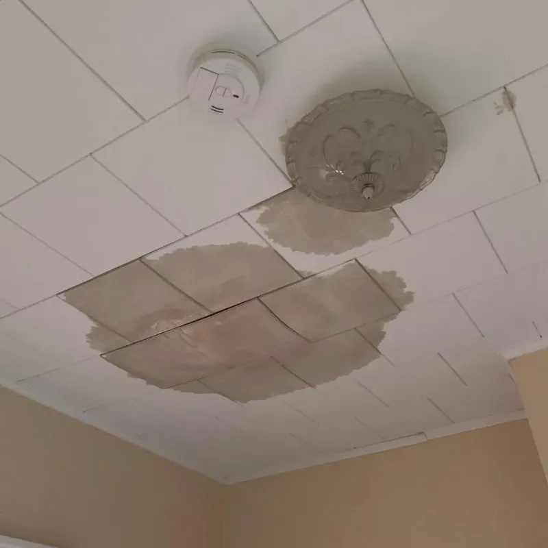 Ceiling Water Damage Repair in Forrest County, MS