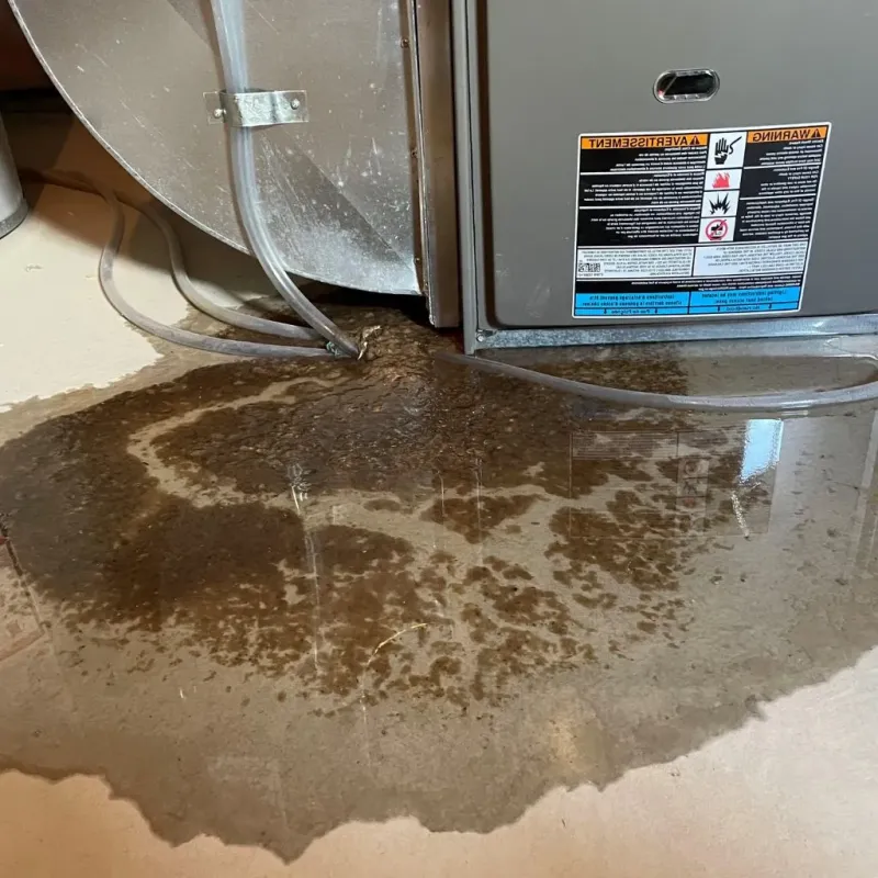 Pipe Burst and Leak Restoration in Forrest County, MS