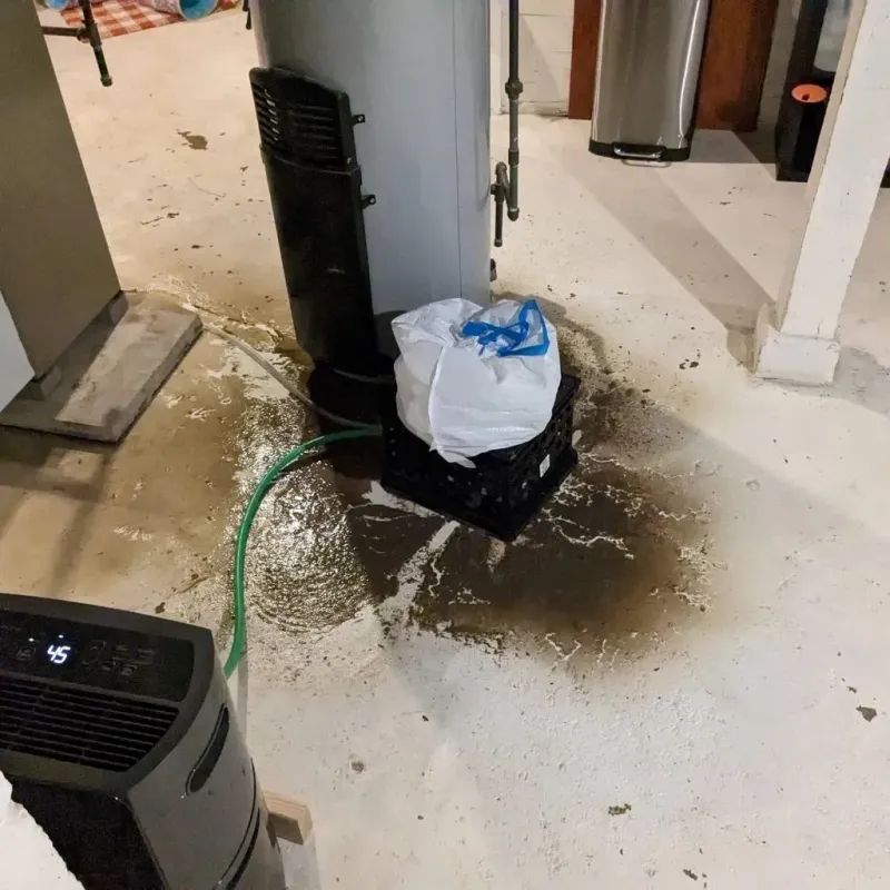 Sewage Backup Cleanup Service in Forrest County, MS